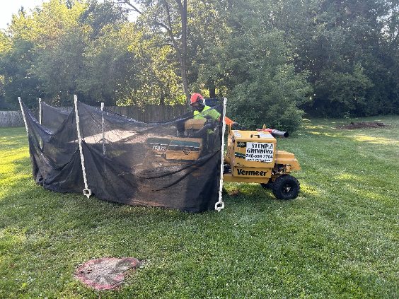 336 S Rochester Rd Oakland MI 48363 stump grinding services