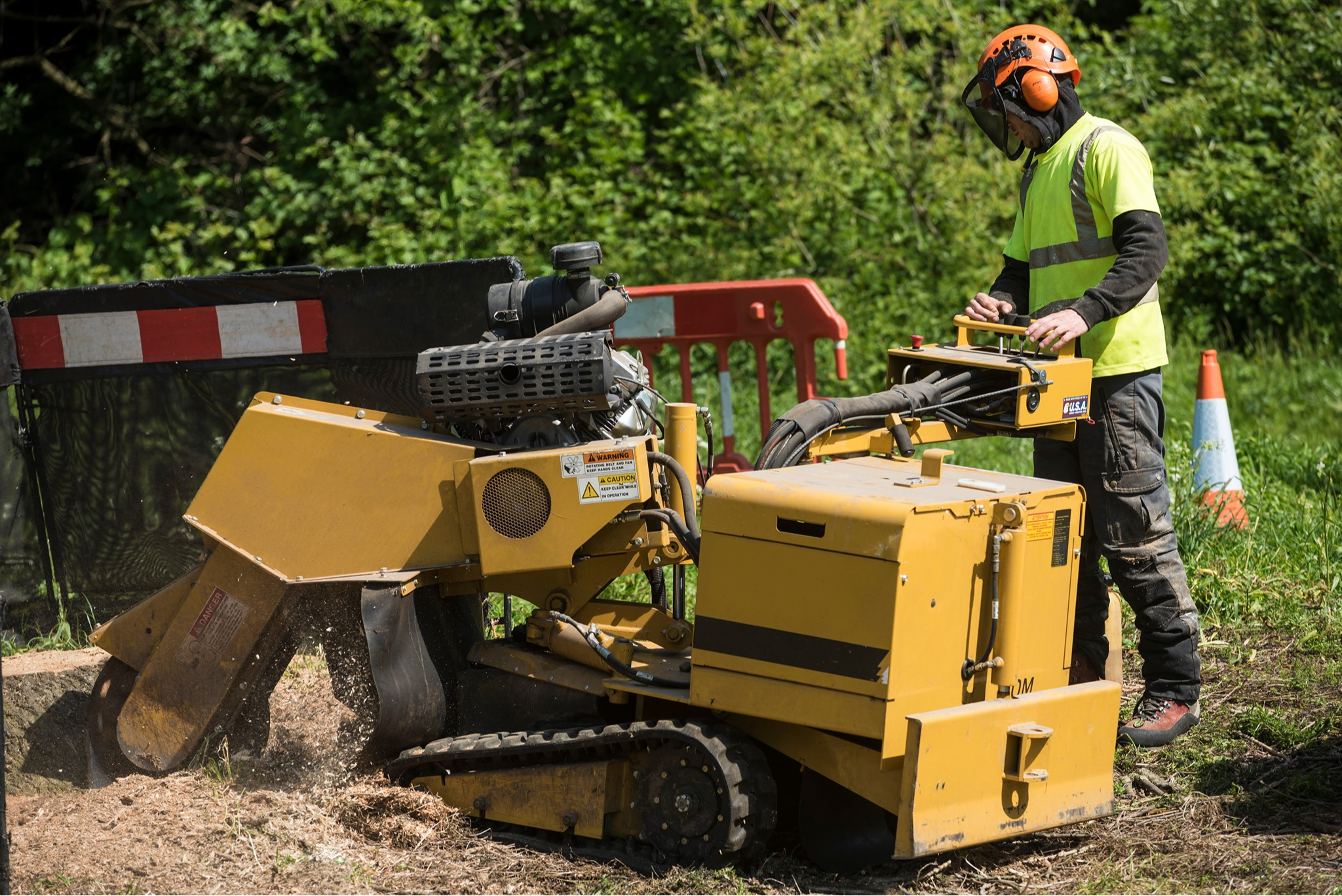 Grinding a large stump in Clarkston, Michigan